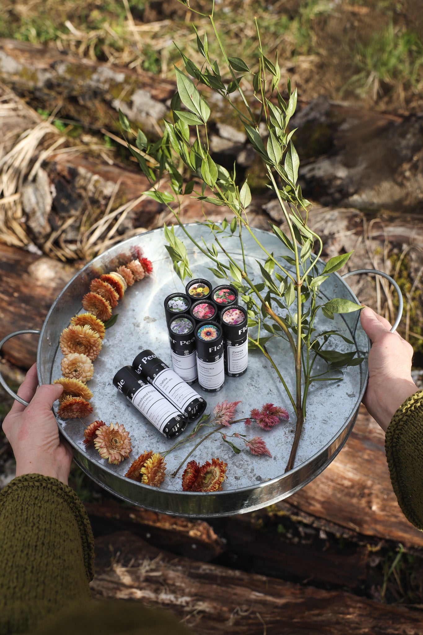 FP 2026 Collection (Zinnias, Celosia, Dahlias, Poppies, Foxgloves