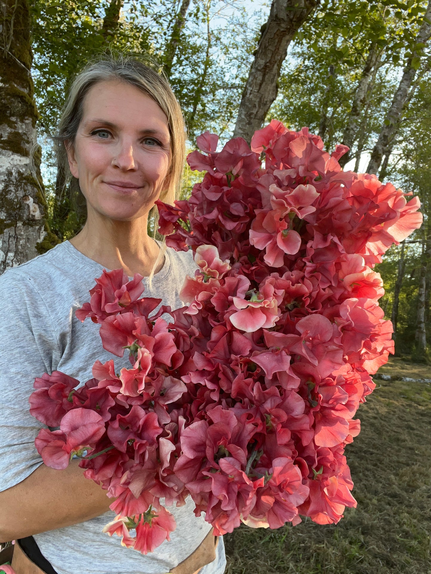 Sweet Pea King's Ransom (LIMIT 1 packet per household)
