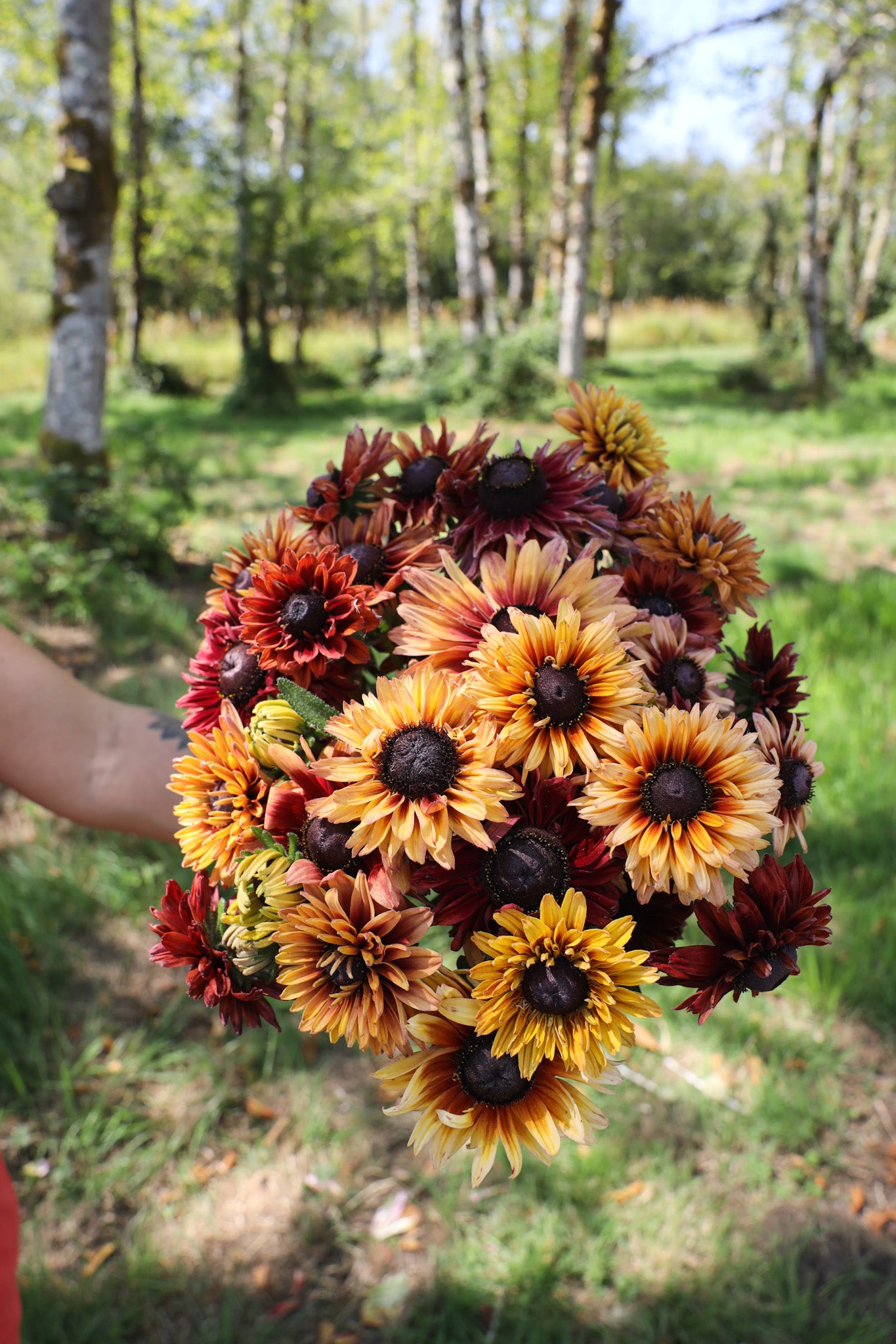 FP Entire Collection