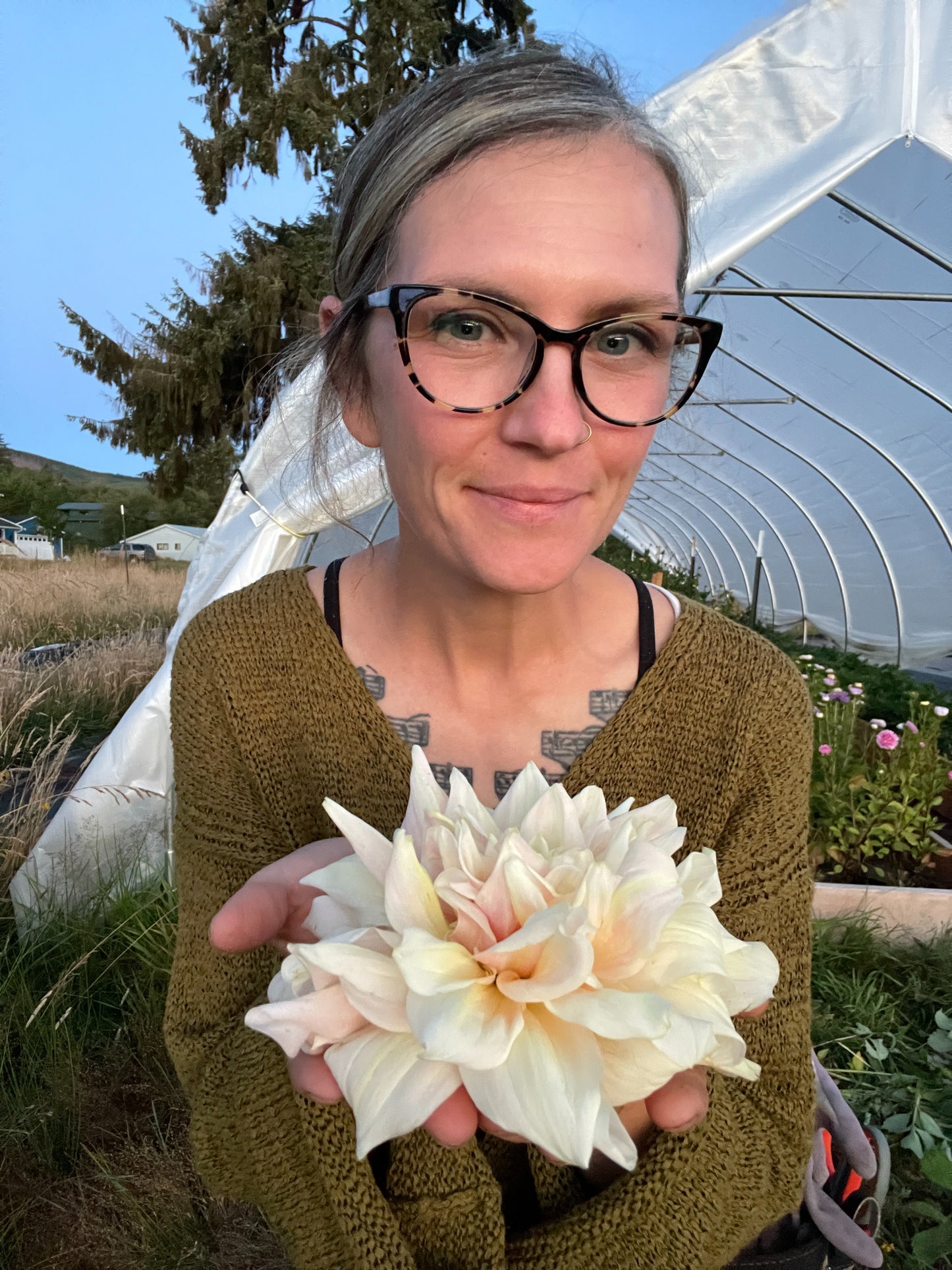 Break Out Dahlia