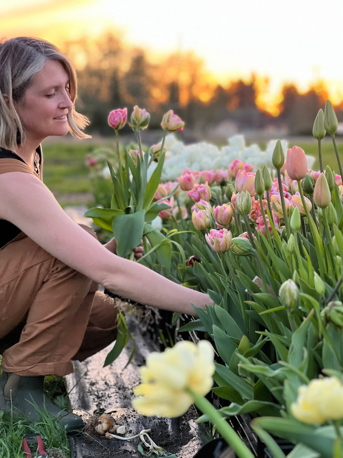 4 Flowers to Plant This Fall in Colder Areas (That Actually Need the Cold!)