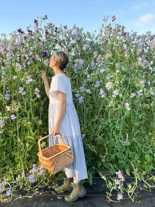 A woman with a basket standing in front of a wall of sweet peas and reaching up to smell one of the flowers