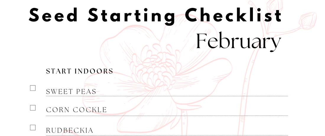 Flower Seed Starting Checklist for February