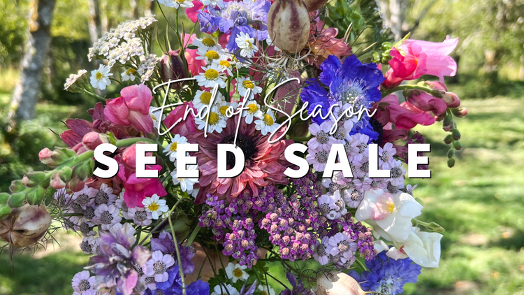 End of Season Seed Sale
