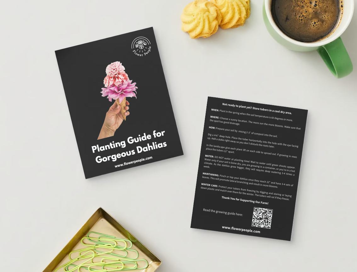 Wholesale Dahlia Planting Guide Card