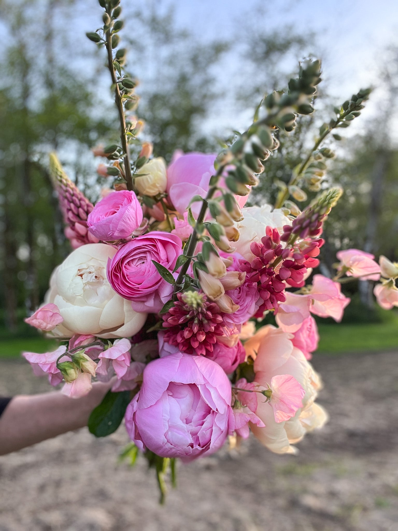 Foxglove 'Pink Gin' – Flower People