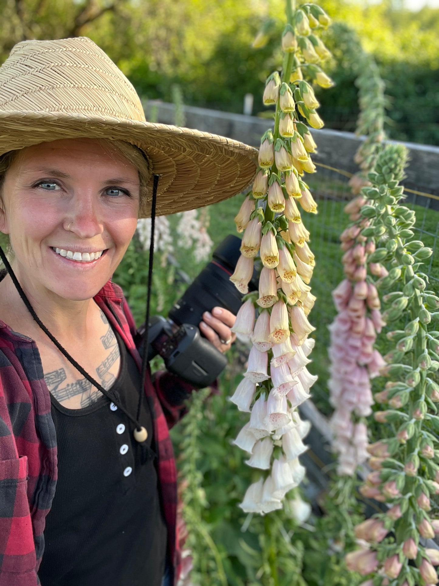 FP 2026 Collection (Zinnias, Celosia, Dahlias, Poppies, Foxgloves, Lavatera, Lupine)