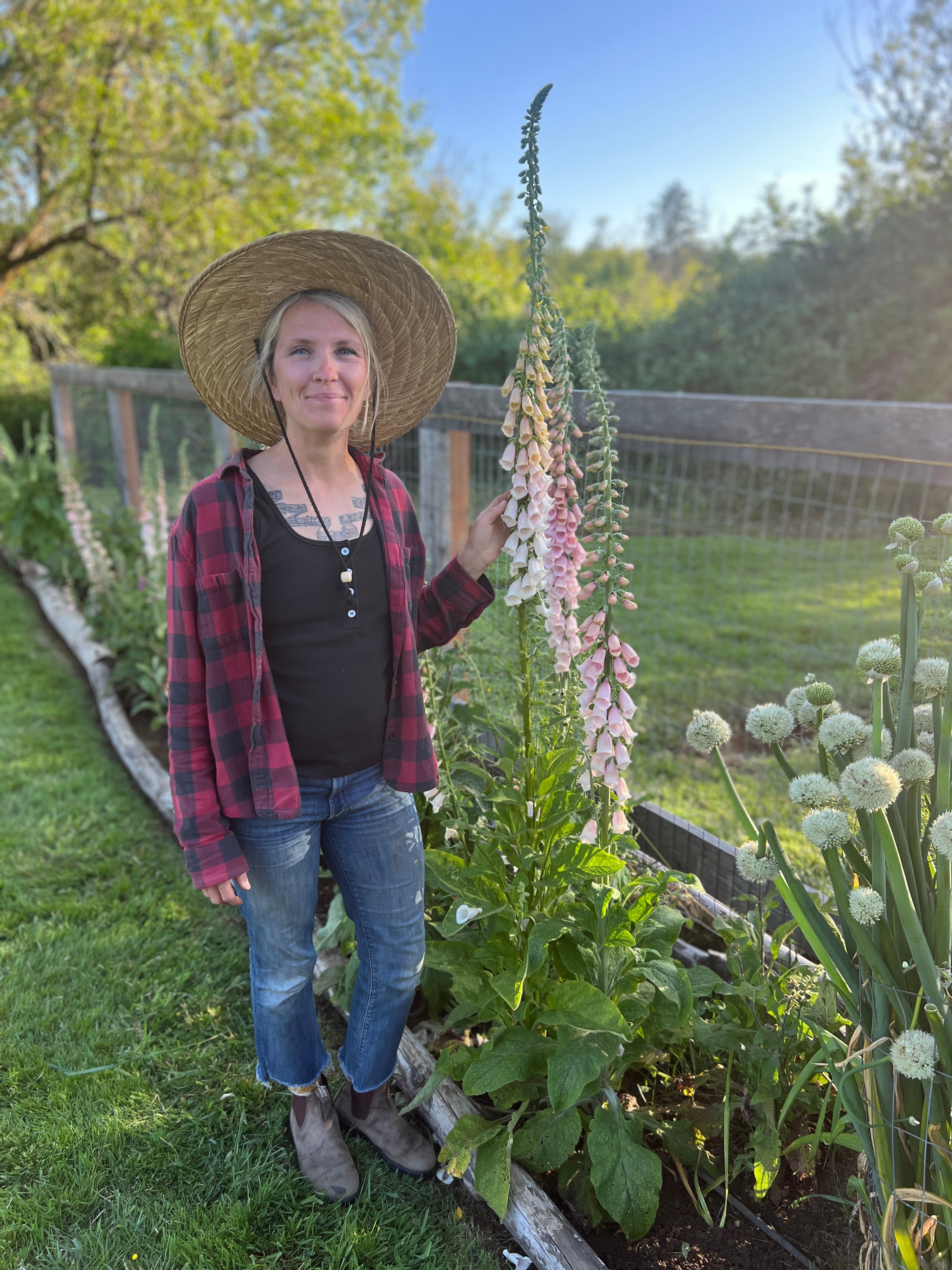 Foxglove 'Pink Gin' – Flower People