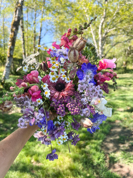 Fall Planting Bundle
