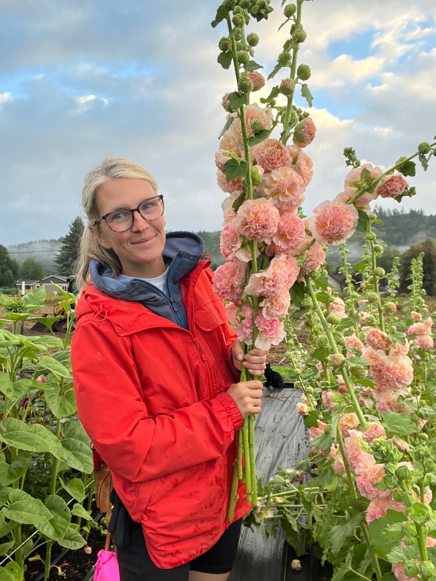 Hollyhocks 'Peaches 'n Dreams'