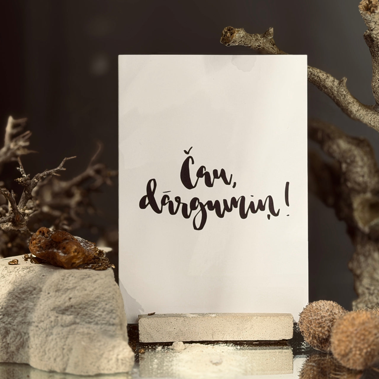 Strawflower - Apricot Peach