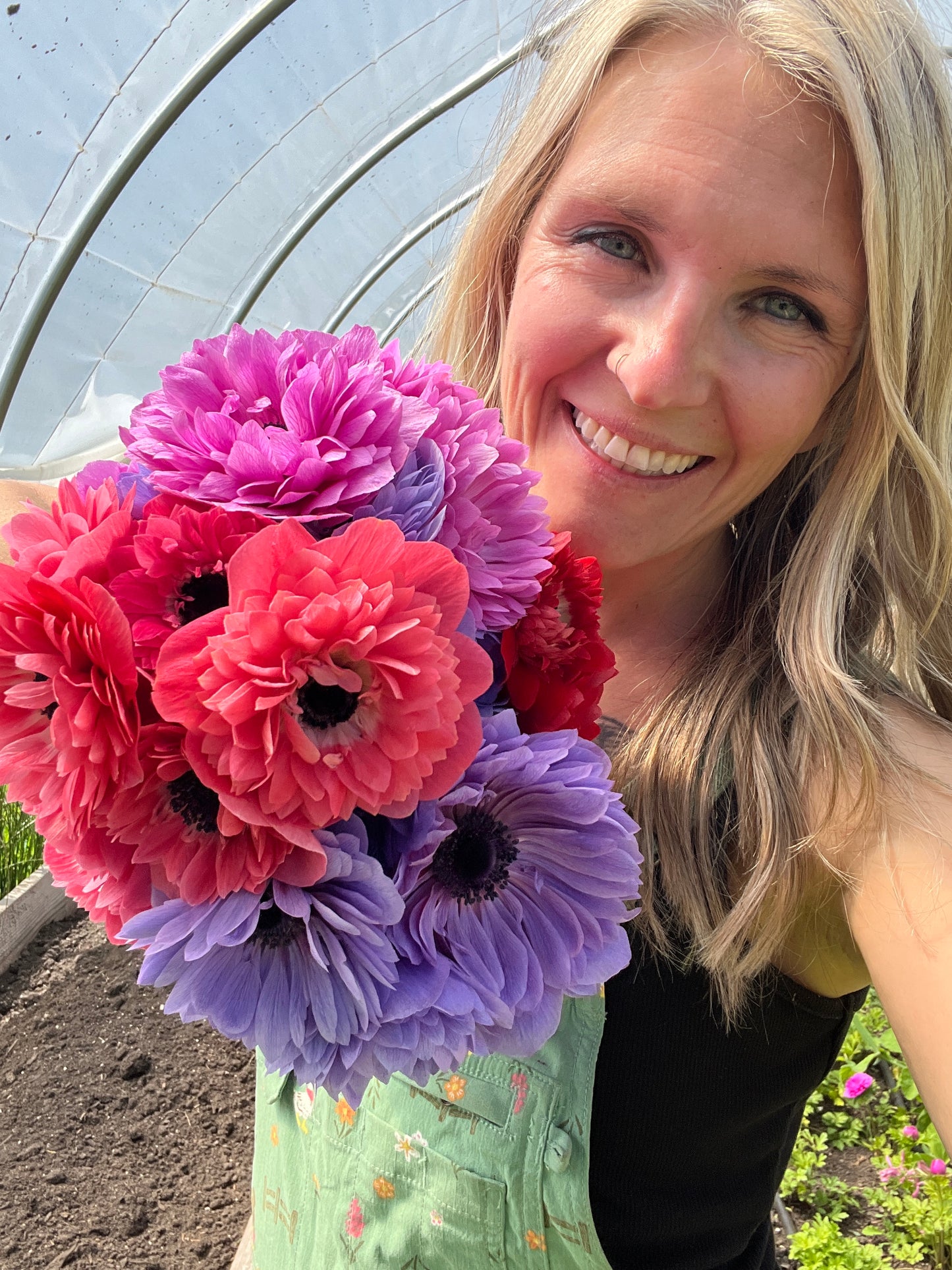 Anemone Levante Mix - 10 corms