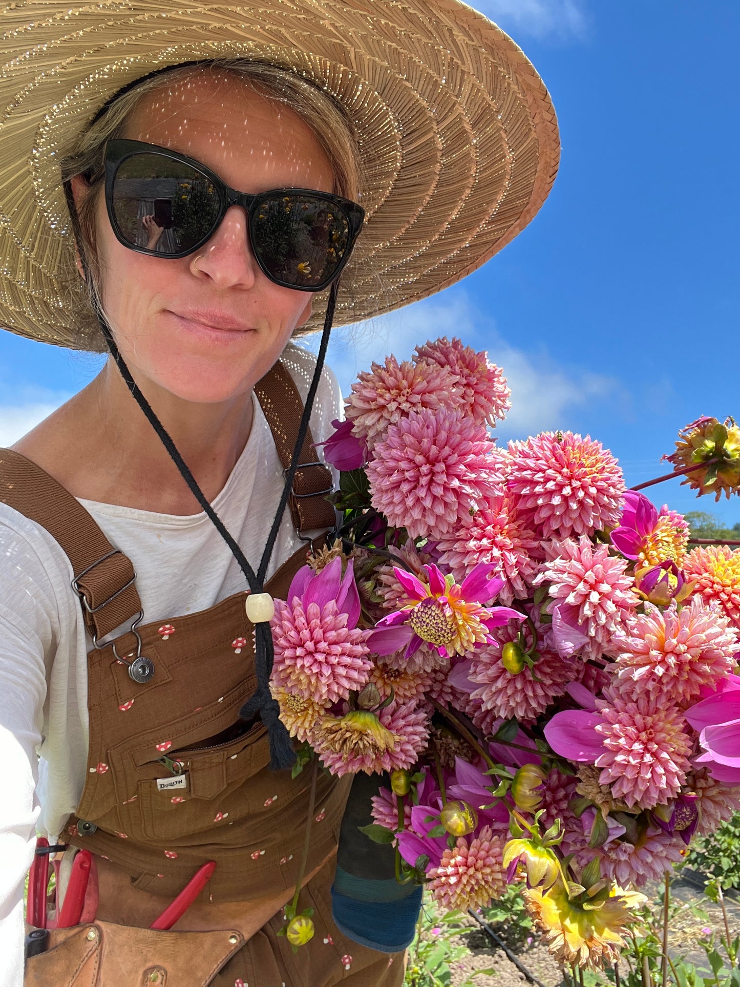 Bloomquist Ginnie Dahlia