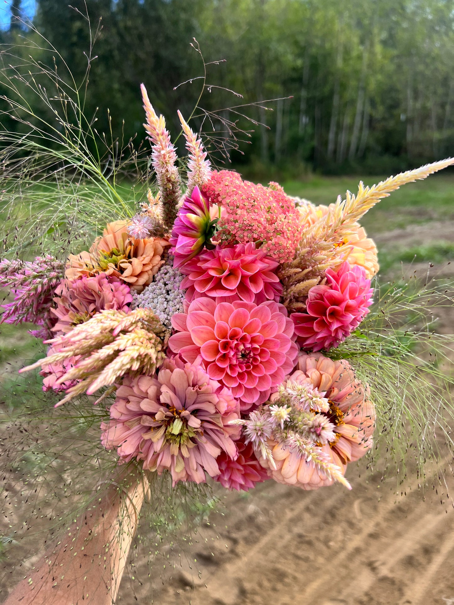 Peachy Pink Bouquet - Dahlia & Seed Collection