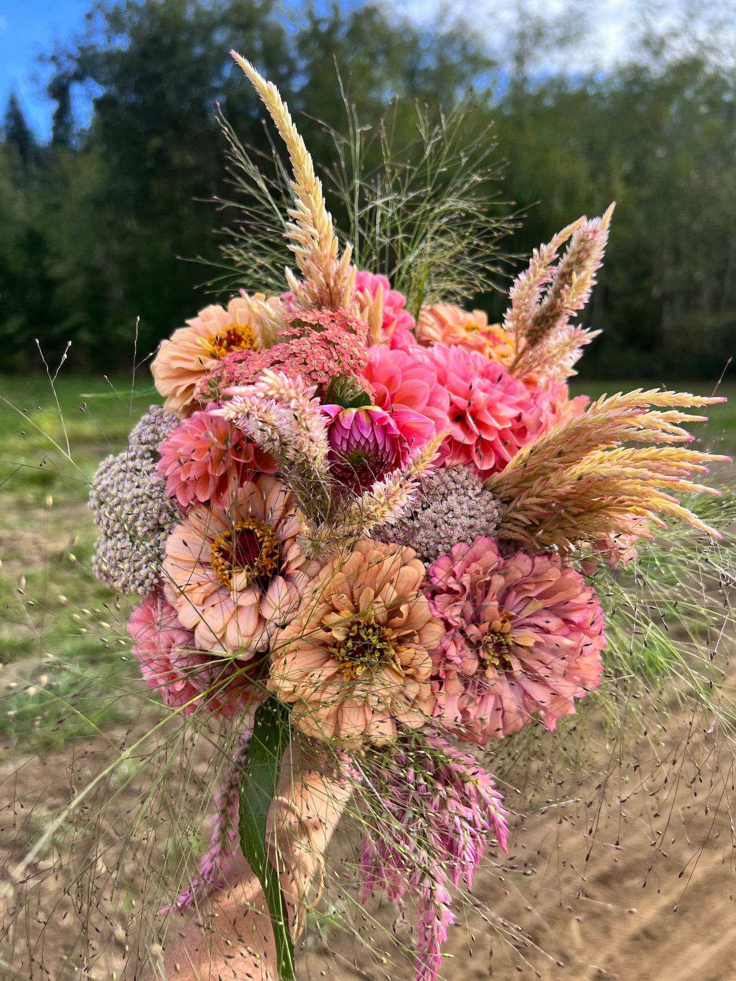 Peachy Pink Bouquet - Dahlia & Seed Collection