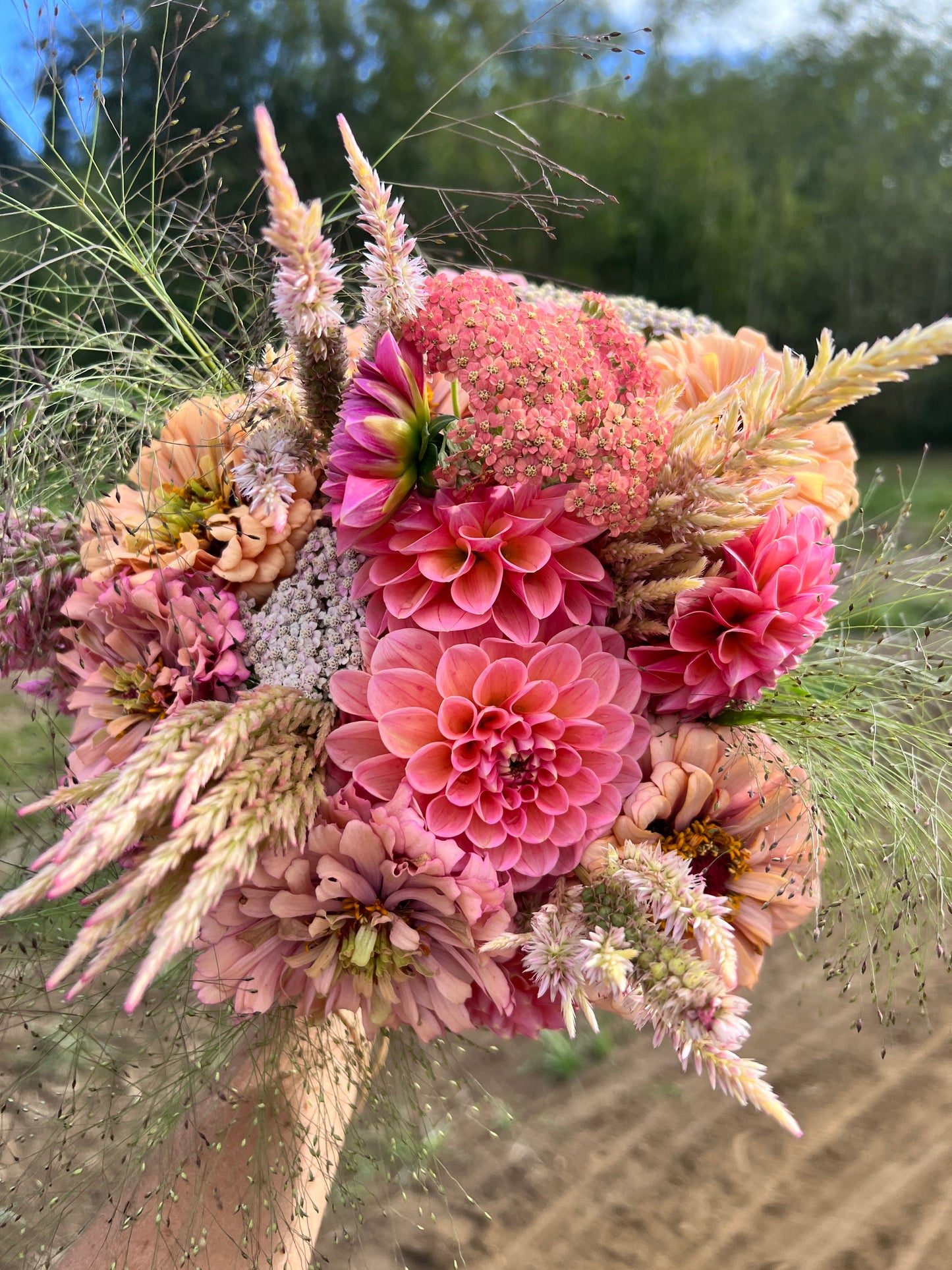 Peachy Pink Bouquet - Dahlia & Seed Collection