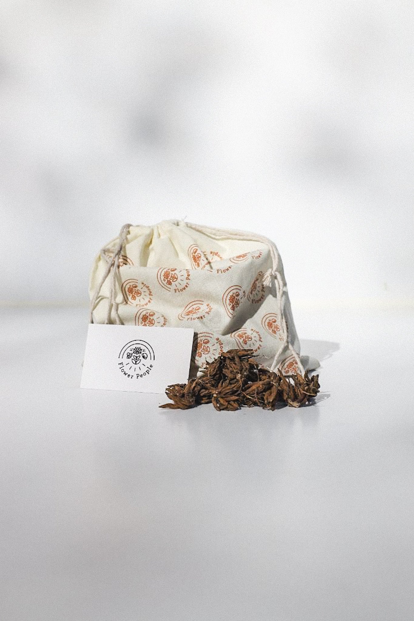 Ranunculus Amandine Barby - 20 corms