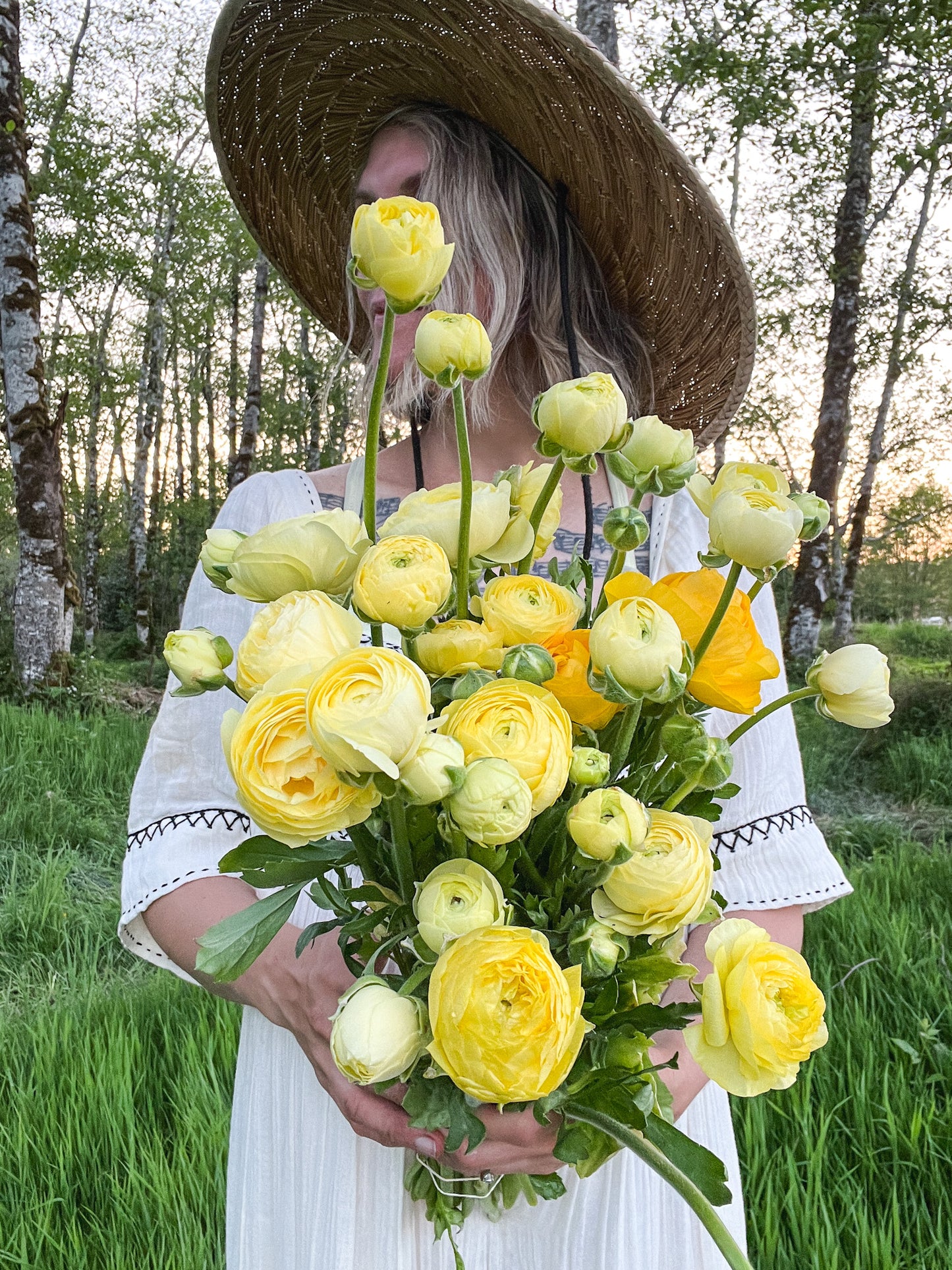 Ranunculus Amandine Cream - 20 corms