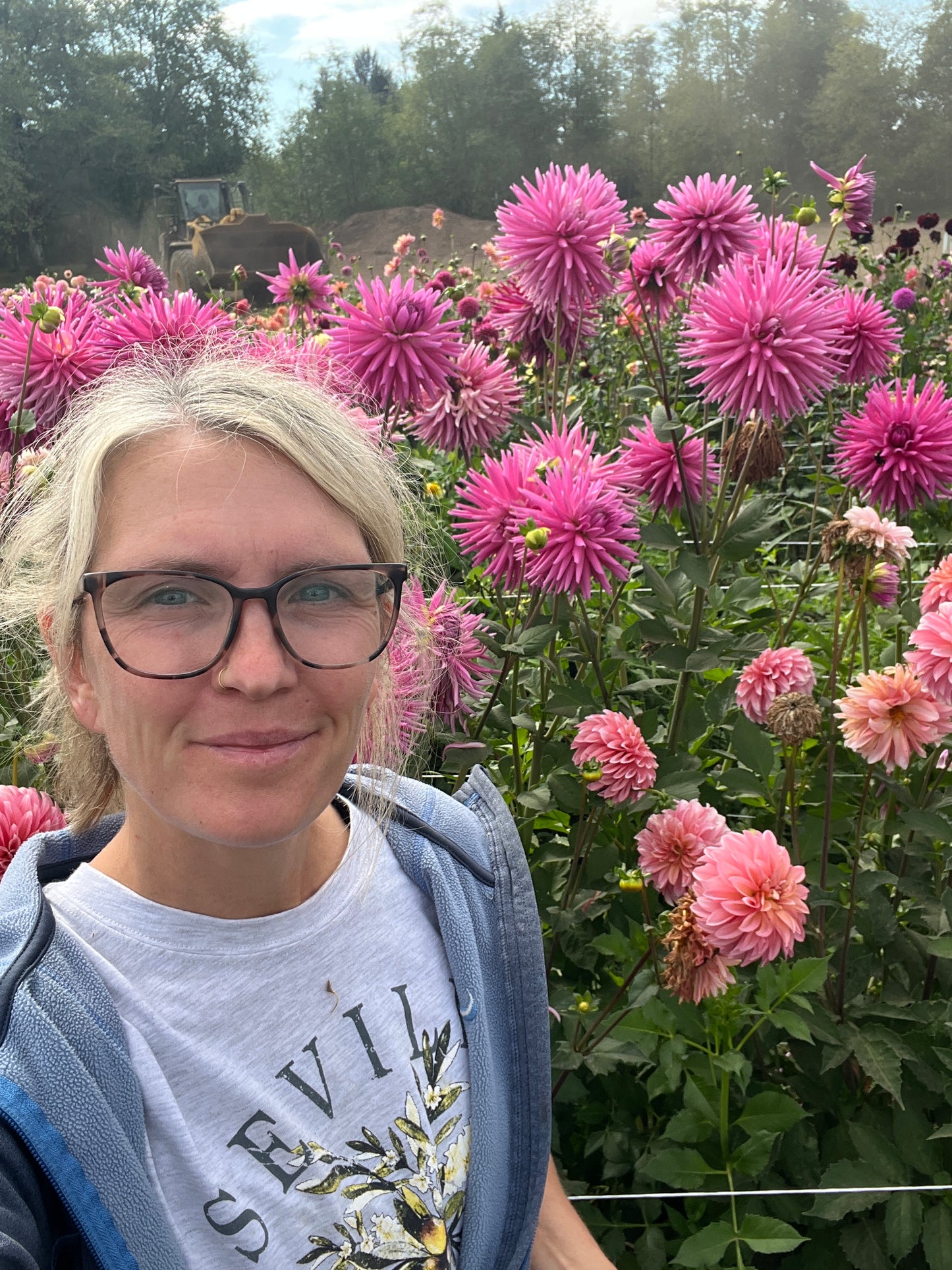 Sandia Barbie Dahlia