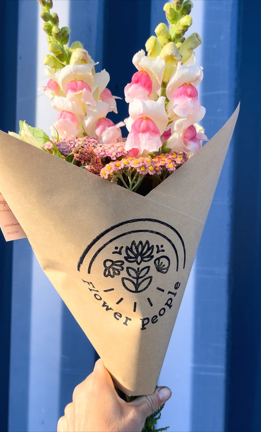 Snapdragon ‘Potomac Appleblossom’