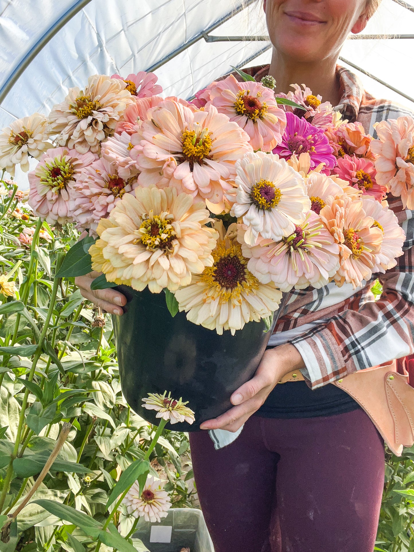 Peachy Pink Bouquet - Dahlia & Seed Collection