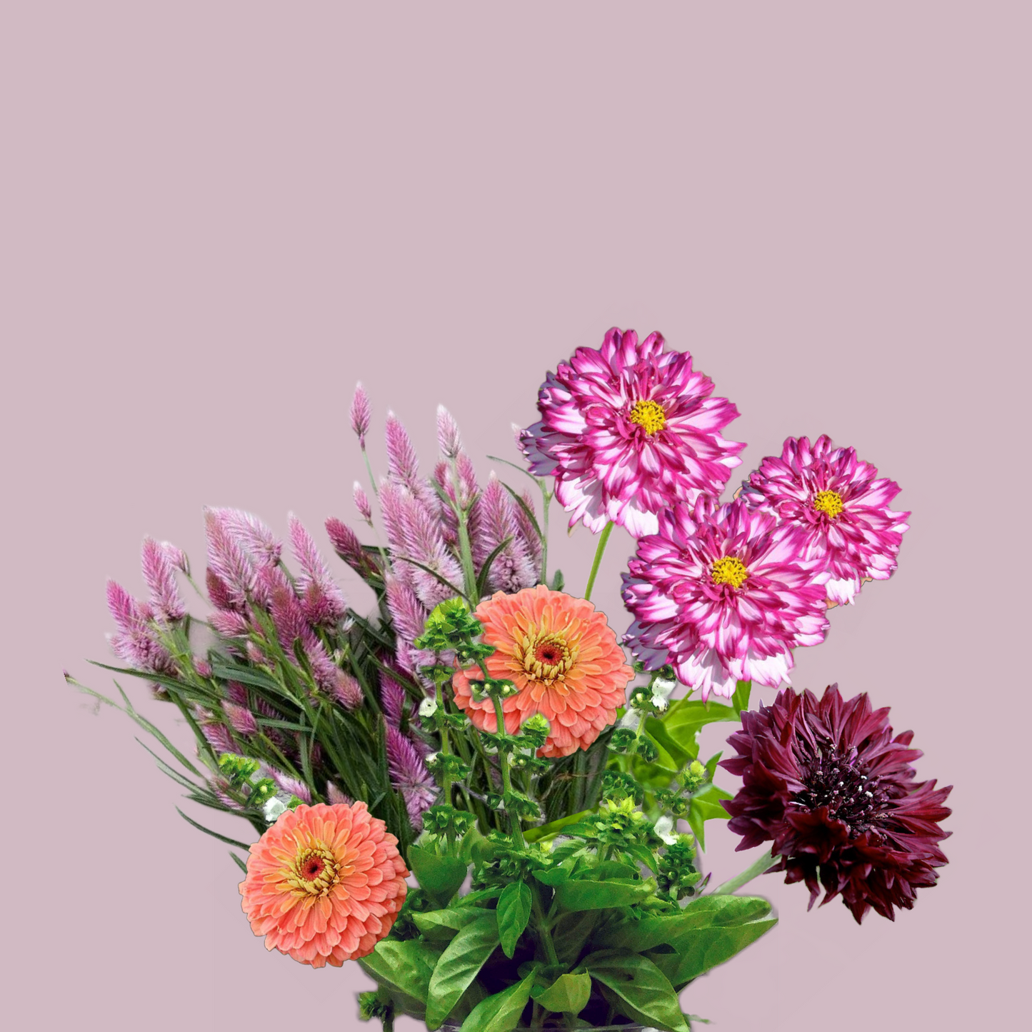Easy Summer Bouquet - Seed Collection