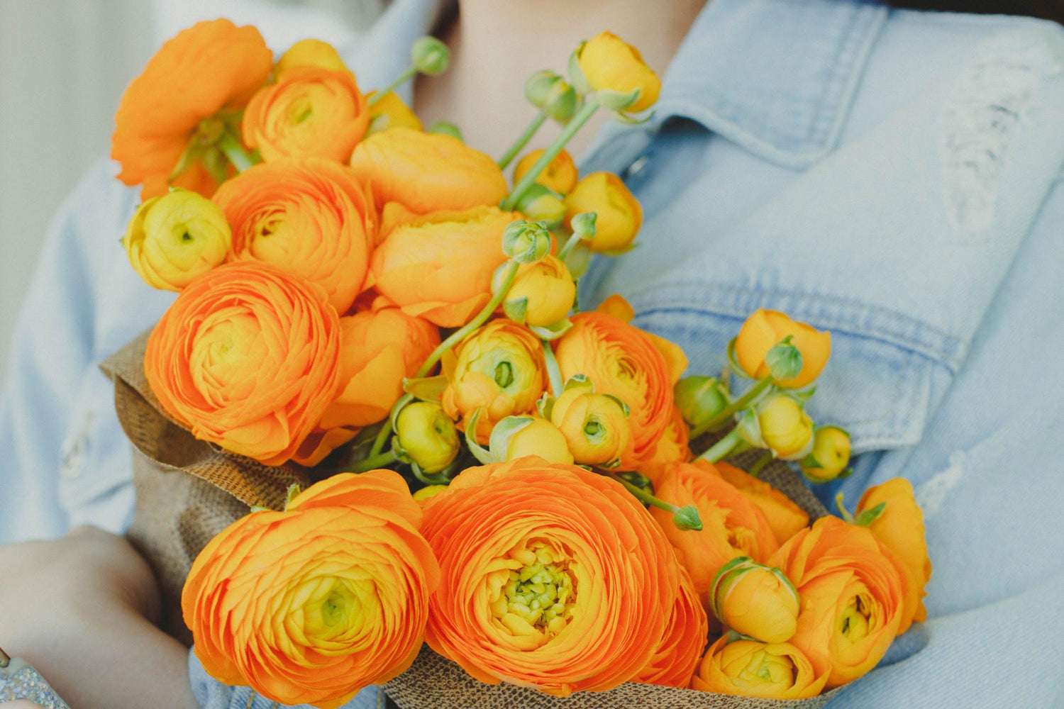 Ranunculus Amandine Gold - 20 corms – Flower People