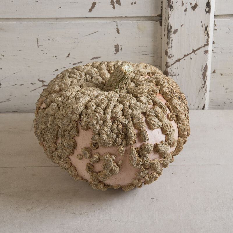 Pumpkin 'Galeux d Eysines'