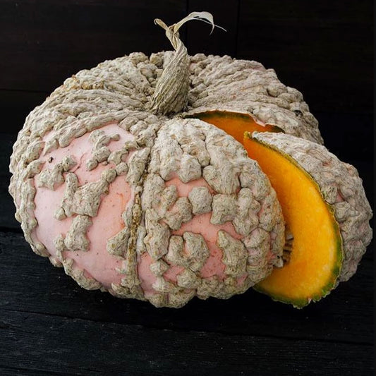 Pumpkin 'Galeux d Eysines'